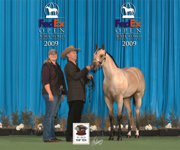 2009 AQHA World Show - 6th place in Open!