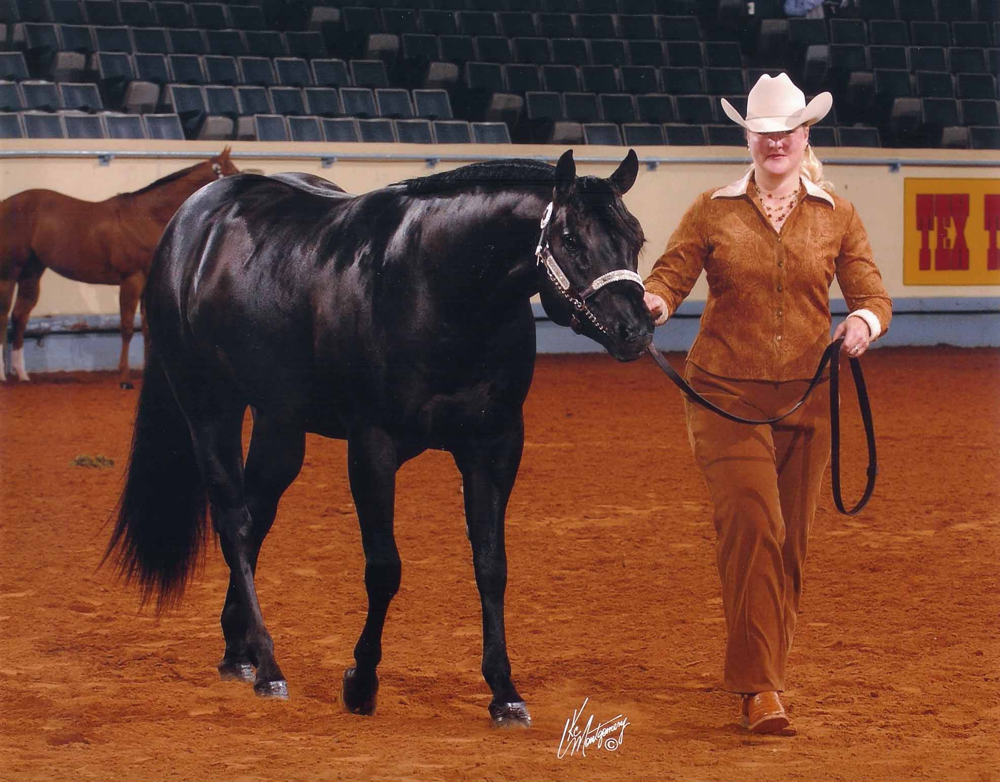 Repercussions -2006 AQHA World Show