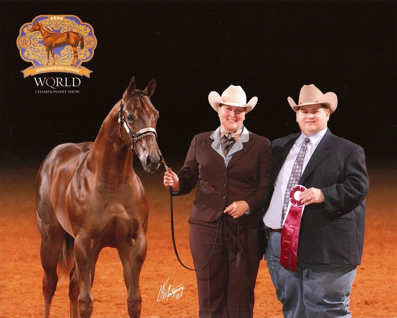 The Strike Zone - 2008 AQHA World Show
