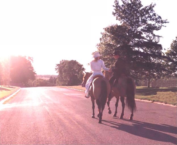 Paul & Kristin sharing their wedding day with America's Horse!