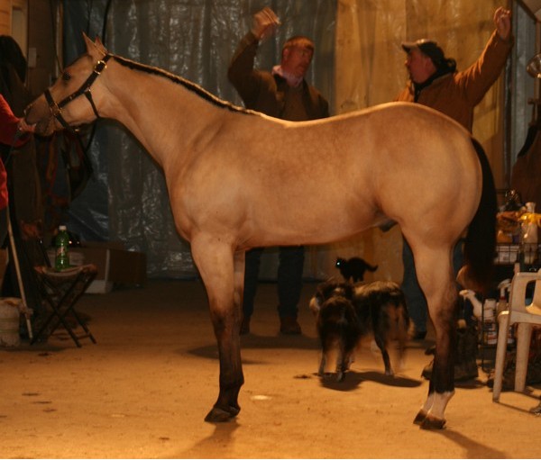 pictured 12-12-09