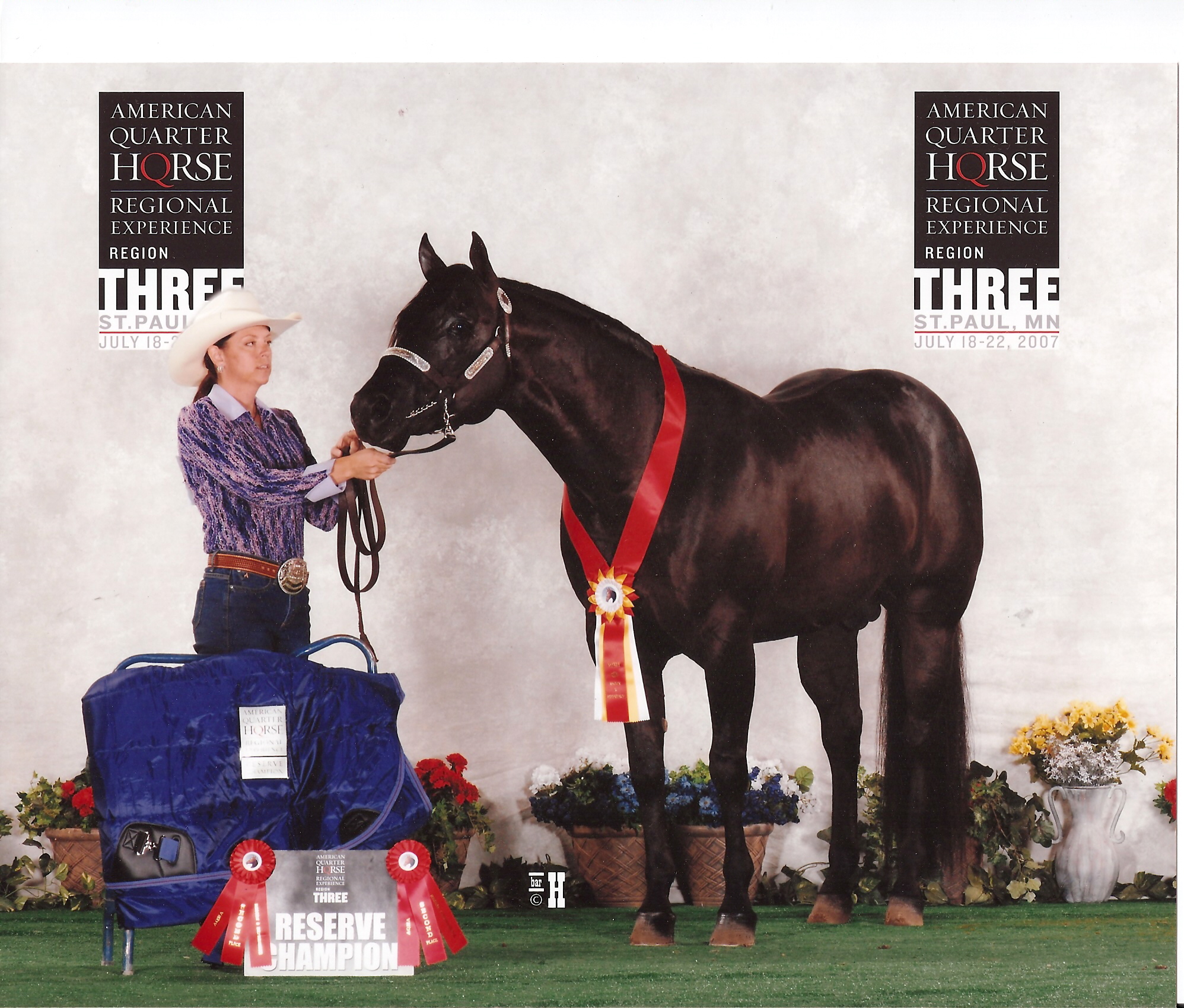 Repercussions - 2007 AQHA Regional Experience Reserve Champion!
